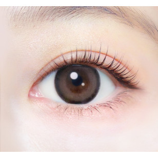 EverColor1day – Natural Teddy Mocha 日拋 每盒20片